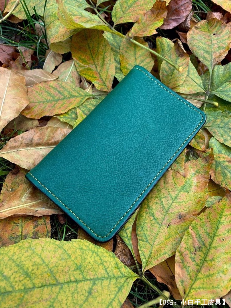 护照和卡片小钱包的图案 - 1