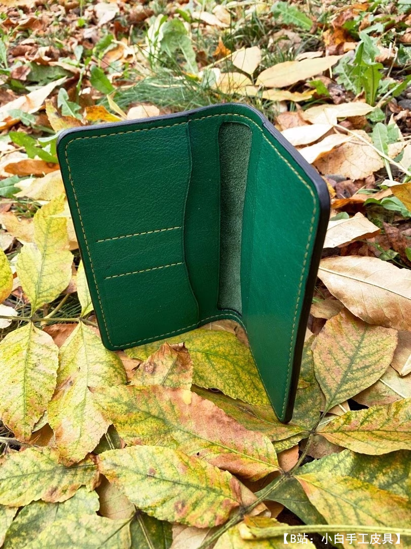 护照和卡片小钱包的图案 - 2