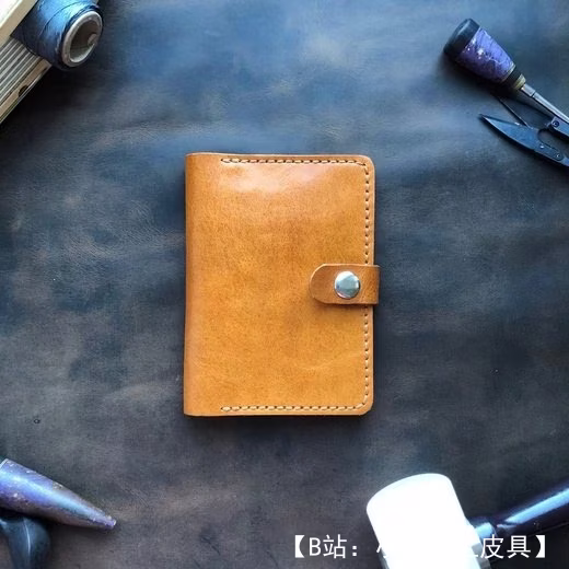 俄罗斯护照的皮革封面图案 - 1