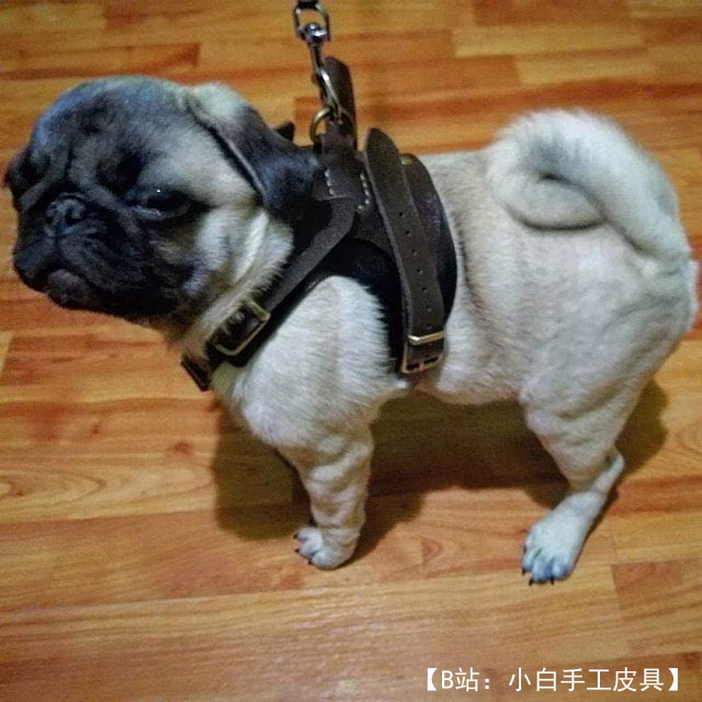 狗用皮革背带图案 - 1