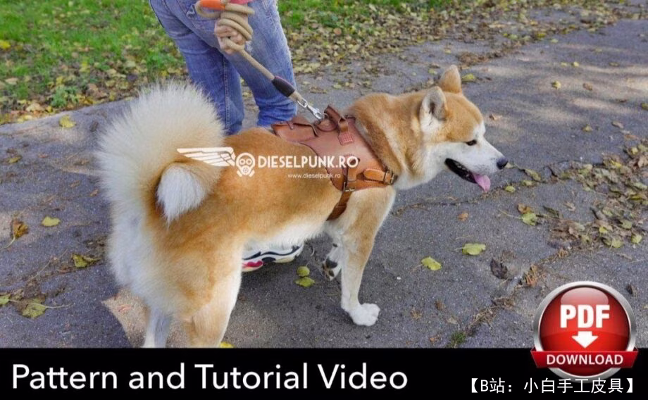 狗的皮革背带图案 - 2
