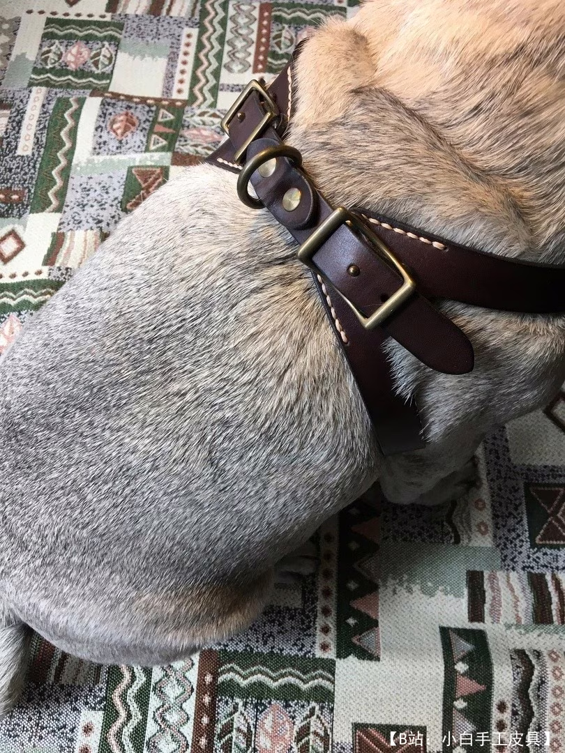 狗用简化皮革背带的图案 - 2