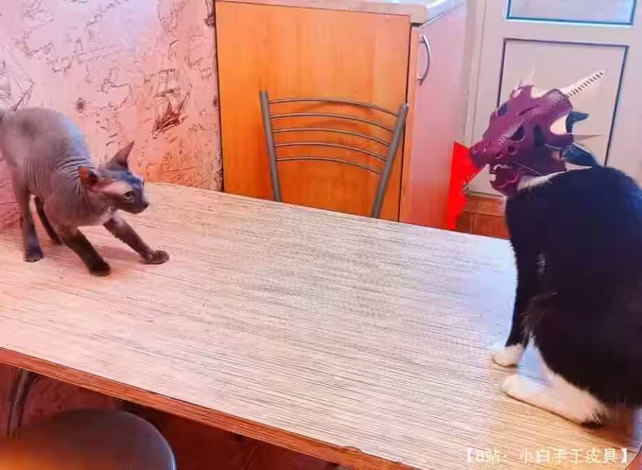 小皮龙头骷髅图案 - 3